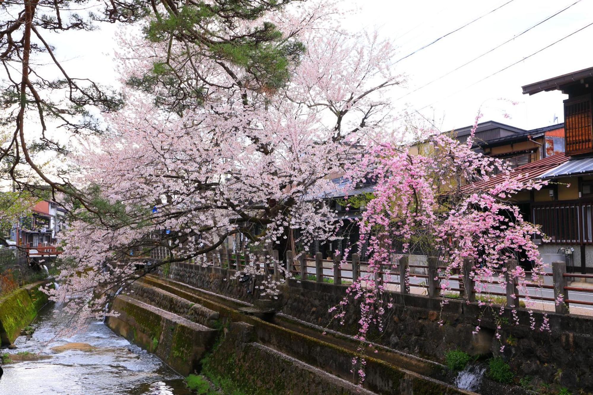 高山ステイ 柊 Apartment Luaran gambar